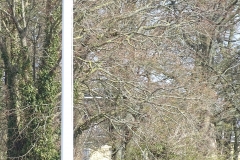 DSC06965